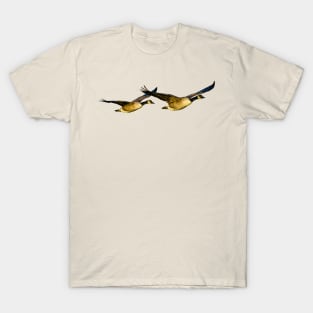 Incoming Canada Geese T-Shirt